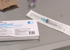 фото Вести Воронеж 2025-09-15_13-11-37