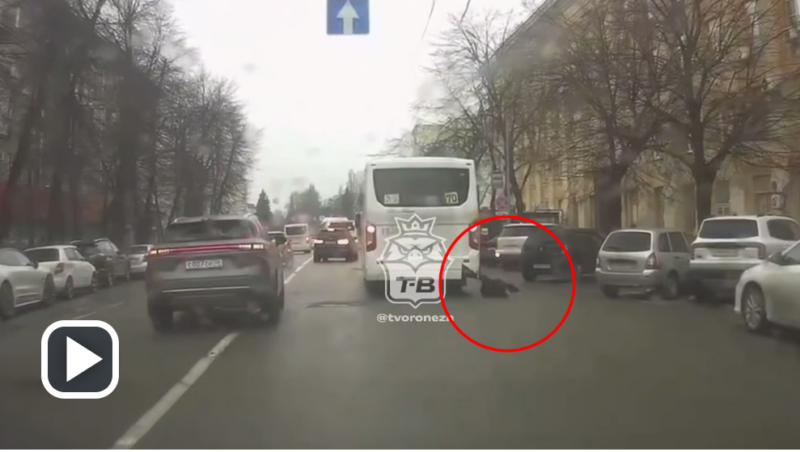 2026-04-15_00-48-01 фото: скрин видео