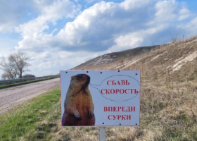 Музей-заповедник «Дивногорье» 2026-04-12_22-44-27