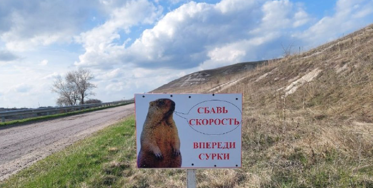 2026-04-12_22-44-27 Музей-заповедник «Дивногорье»