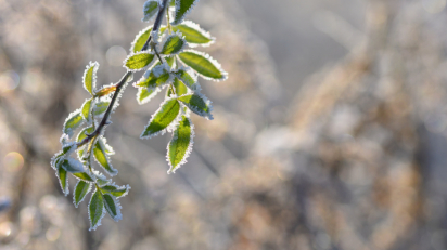 Фото: Freepik погода