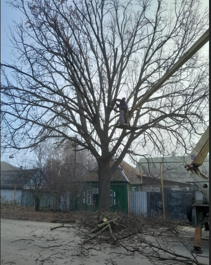 2025-11-18_22-42-32 ФОТО АДМИНИСТРАЦИЯ Россоши