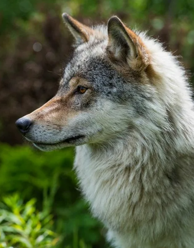 фото at.pinterest.com 2026-01-27_13-01-30