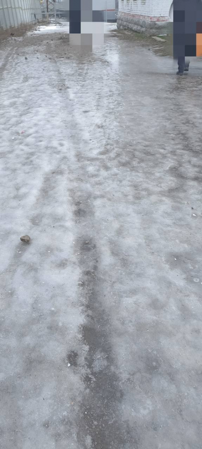 фото соцсети 5415668192635458520