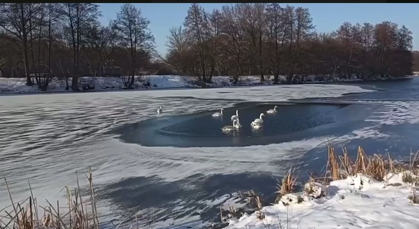 фото скрин-видео Подслушано в Паловске