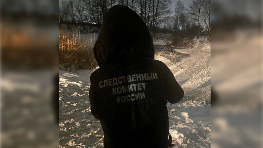 фото: СК по Воронежской области