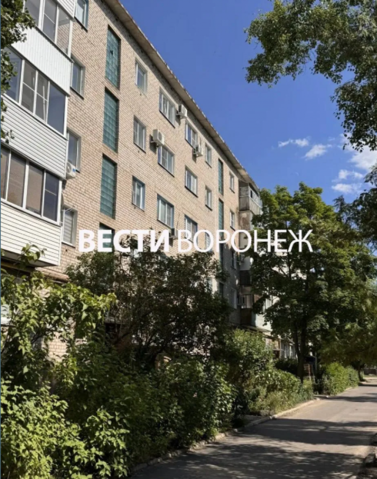 фото ВЕСТИ ВОРОНЕЖ 2026-07-20_19-34-33