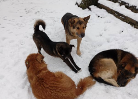 фото istockphoto.com 2026-03-03_12-57-01