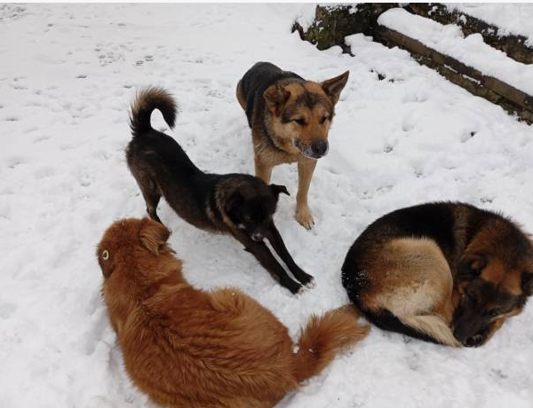 2026-03-03_12-57-01 фото istockphoto.com