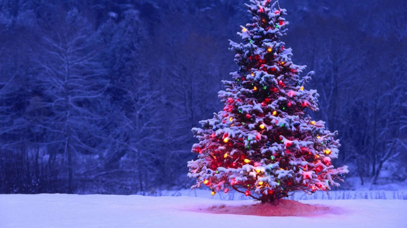 2025-12-10_16-16-50 фото Администрация Таловского городского поселения , страница в ОК