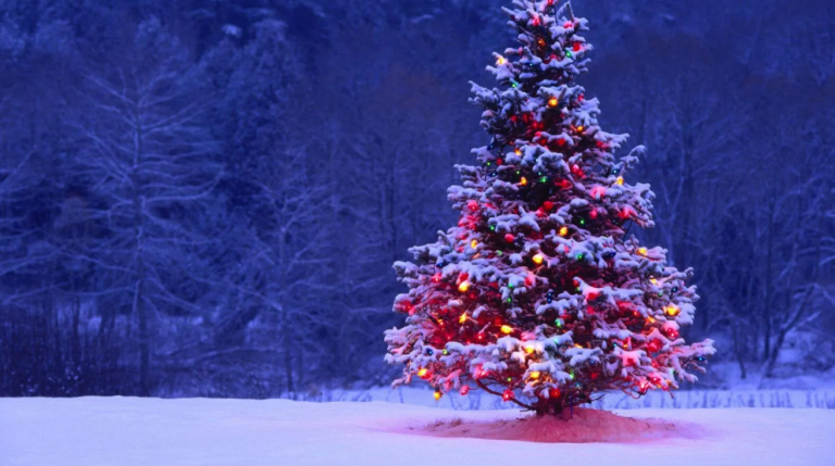 фото Администрация Таловского городского поселения , страница в ОК 2025-12-10_16-16-50