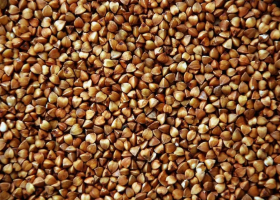 фото grainboard.ru 2025-08-24_17-58-13