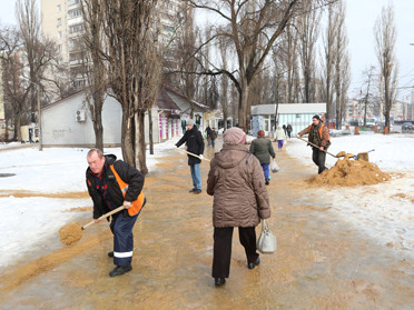 фото мэрия Воронежа