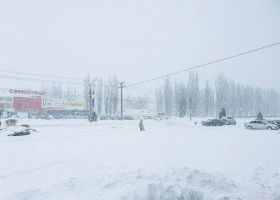 фотоРегион-36 (Воронеж с огоньком) 2026-01-10_00-25-34