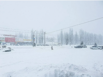 фотоРегион-36 (Воронеж с огоньком) 2026-01-10_00-25-34