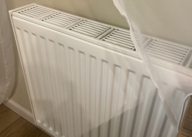 фото Новости-Воронежская область IMG_8250