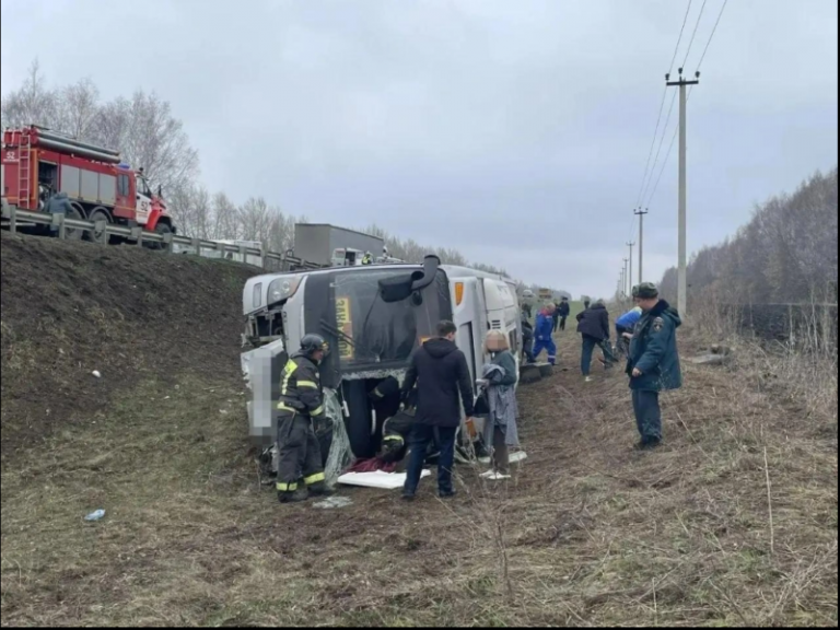 Источник: Прокуратура Саратовской области 2026-04-04_00-02-20