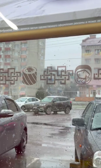 фото видео Екатерина Маковская Новости Воронежская область 