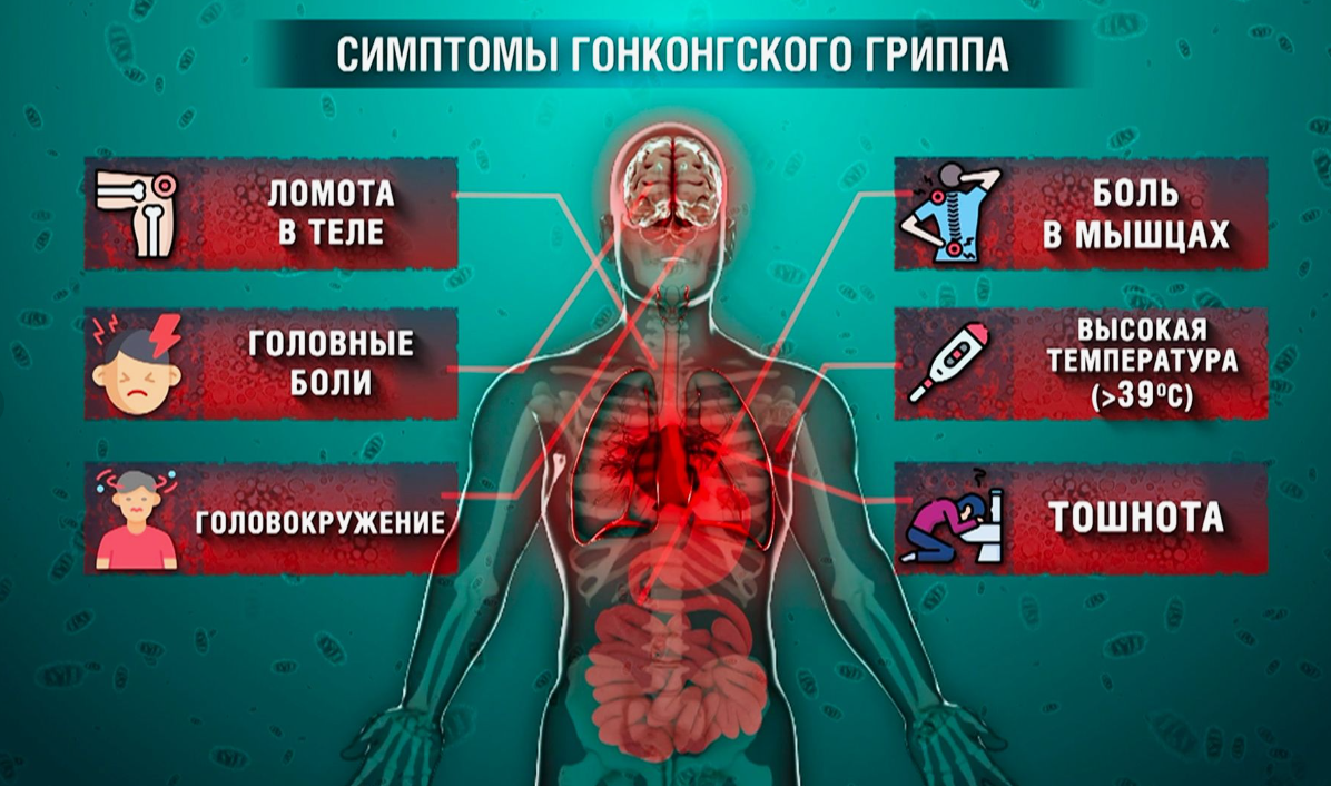 2026-01-09_00-52-48 фото rutube.ru