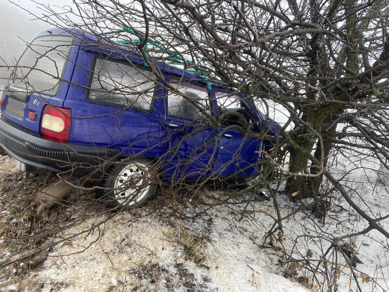 Фото: УМВД Воронежской области 