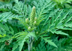 фото chr.mk.ru 2025-08-03_15-42-41