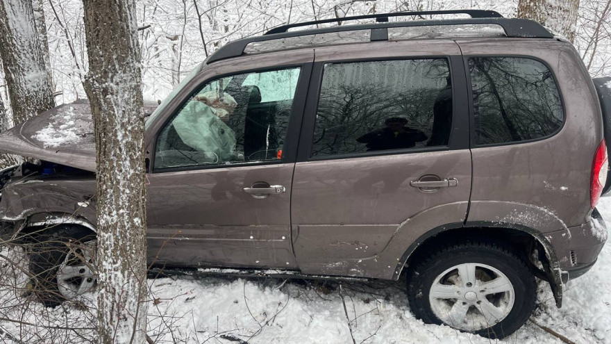 Фото: ГУ МВД по Воронежской области