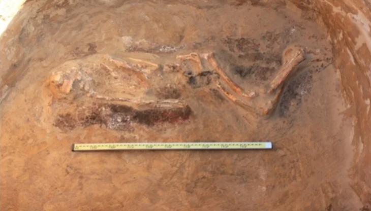 2025-12-05_14-57-36 Источник: ООО