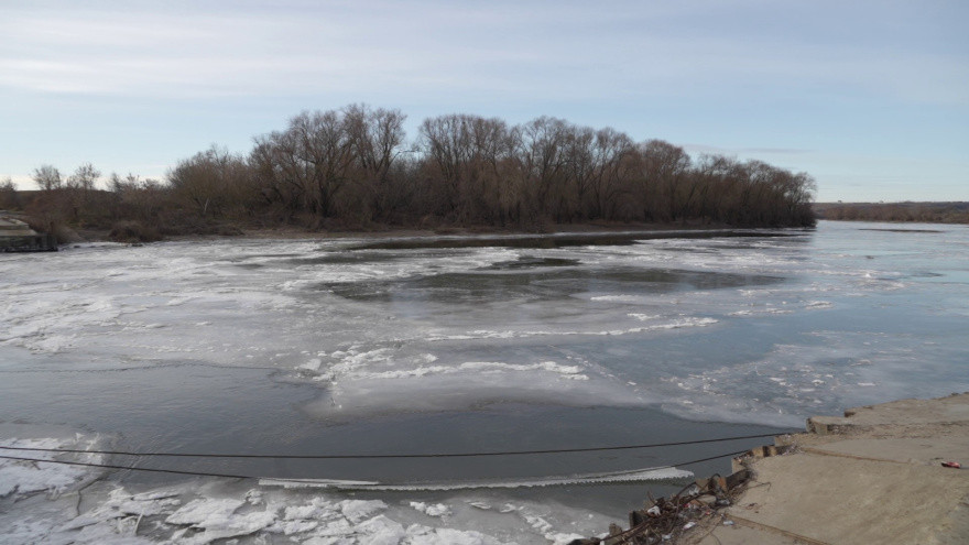 Фото: Вести Воронеж