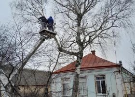 россошь крон