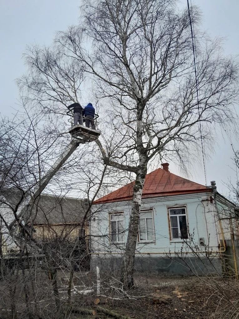 россошь крон фото: администрация