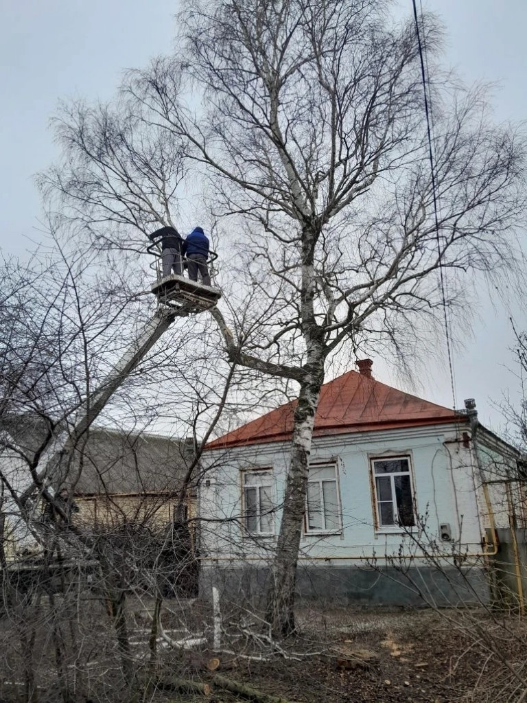 фото: администрация россошь крон