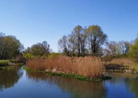 фото dzen.ru 2026-02-18_14-22-26