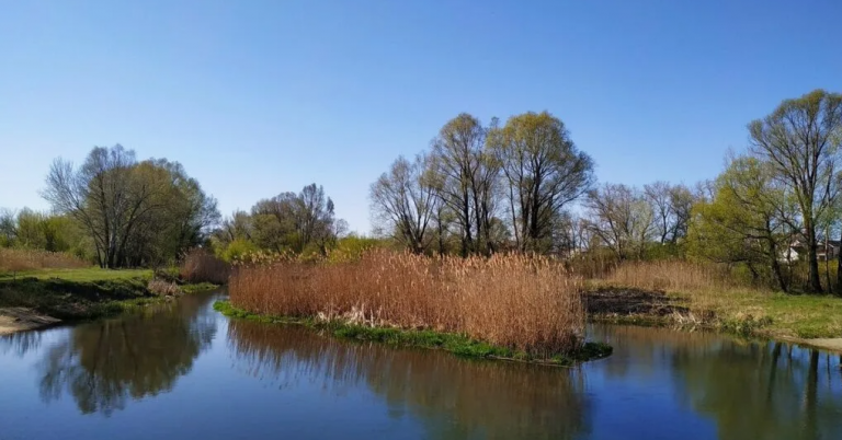 фото dzen.ru 2026-02-18_14-22-26