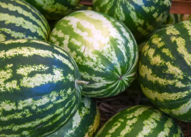 Источник: Дмитрий Дадонкин/ТАСС 2025-08-25_16-06-01