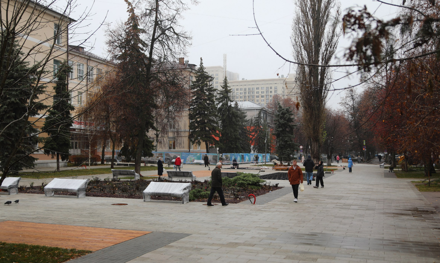 2025-11-17_17-44-50 фото администрация города Воронеж