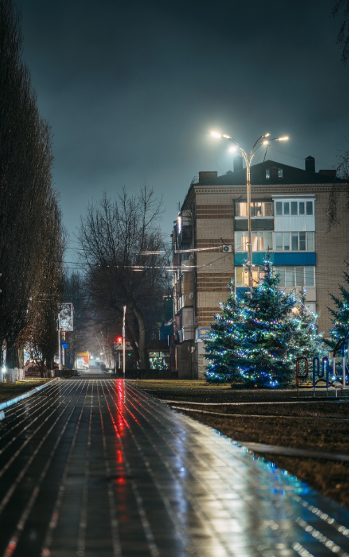фото Дмитрий Резников