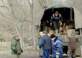 фото соцсети 5368601793522240395