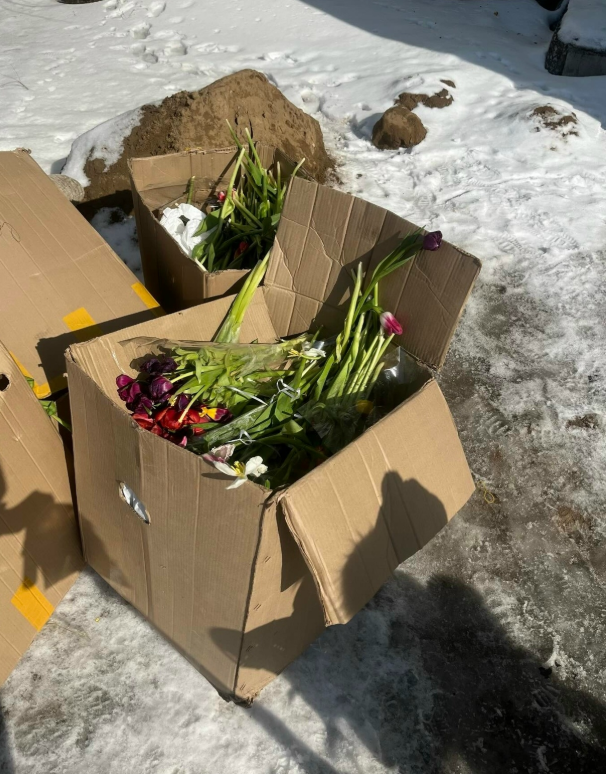 фото ЗАповедныйВОРОНЕЖ