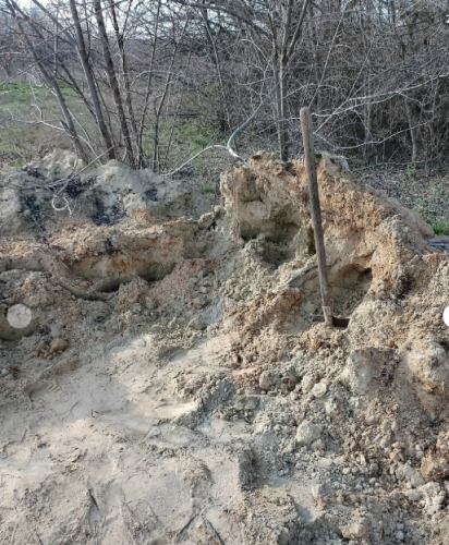 фото соцсети 2026-04-05_18-56-07