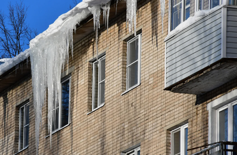 фото rbc.ru 2026-01-09_17-04-42