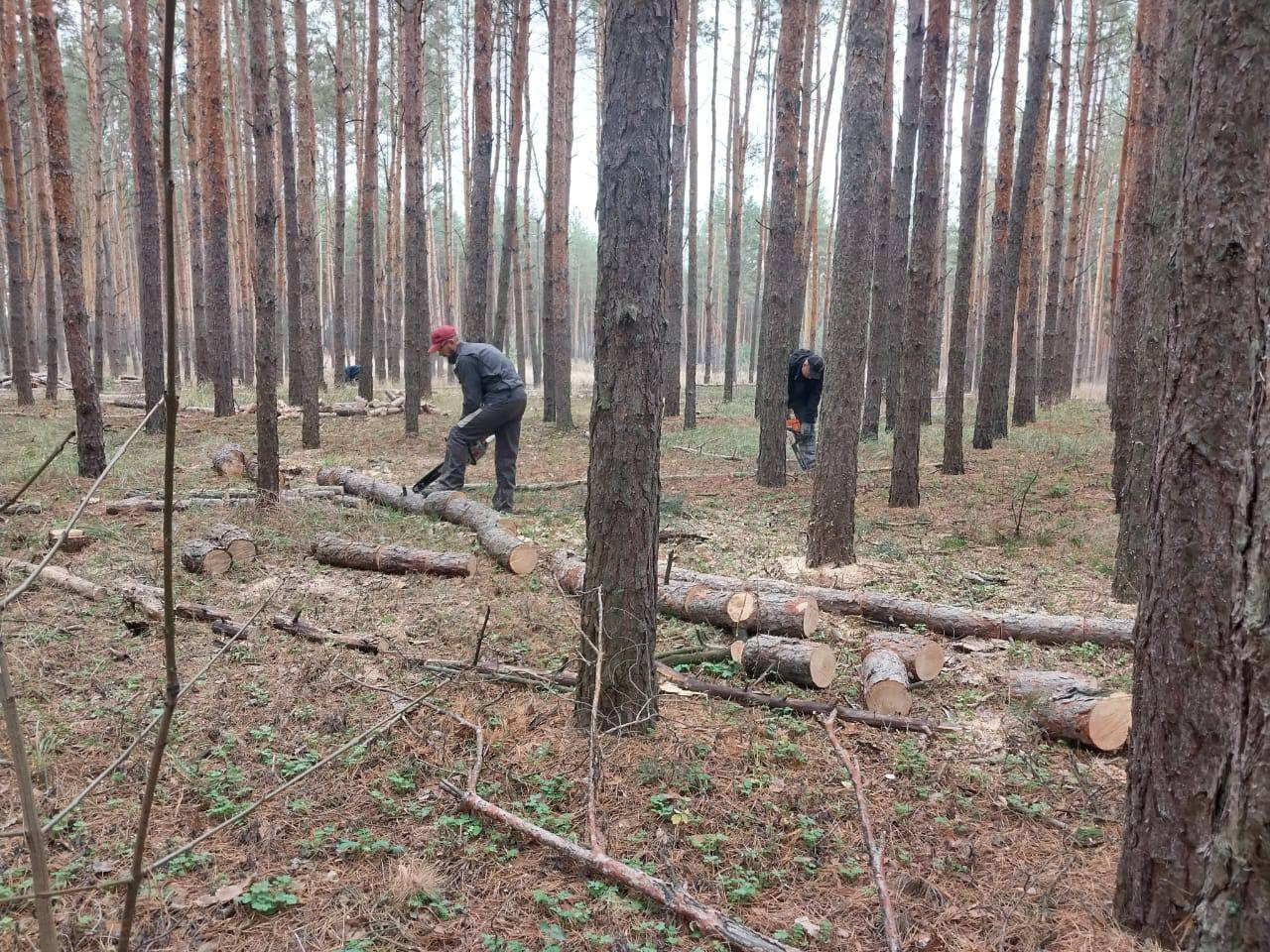ФОТО администрация Россошанского района