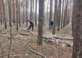 5220173126841338895 (1)