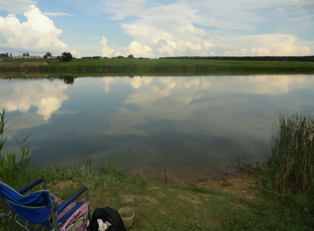 2026-02-14_21-45-00 фото minnow.ru