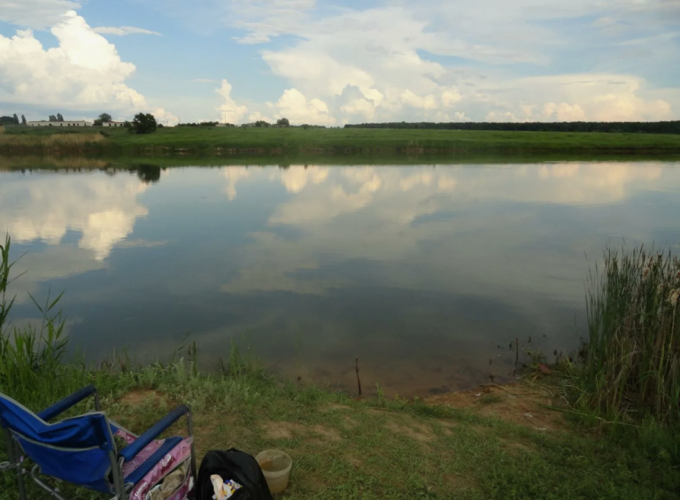 фото minnow.ru 2026-02-14_21-45-00