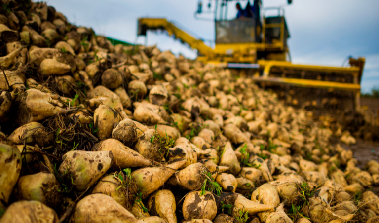 фото ryazagro.ru 2025-08-28_16-04-21