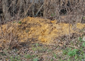 фото Типичная Кантемировка 2026-04-05_18-57-05