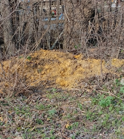 2026-04-05_18-57-05 фото Типичная Кантемировка