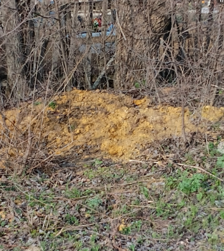 фото Типичная Кантемировка 2026-04-05_18-57-05