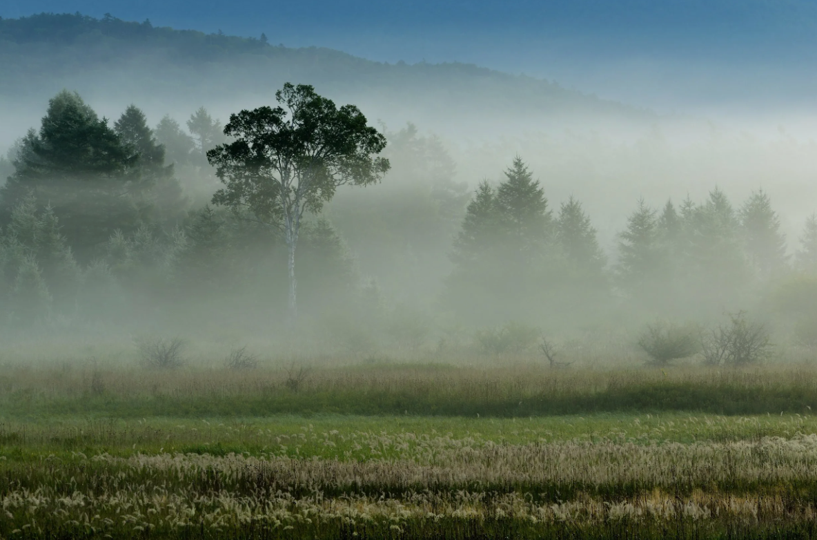 фото kasheloff.ru 