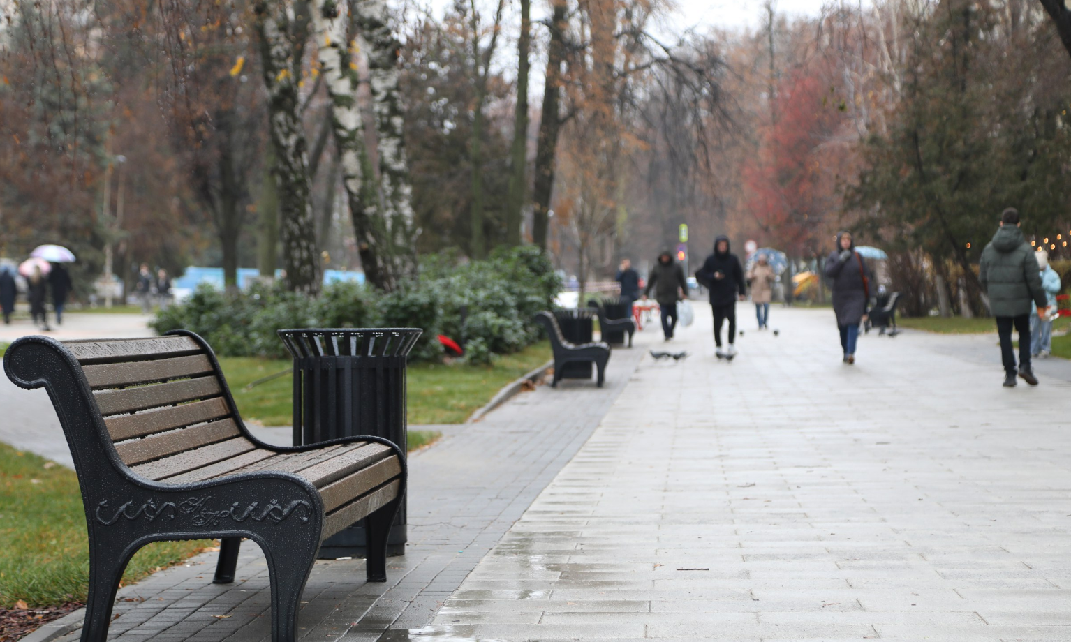 фото Воронежская гордума 